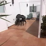 Casa Lina Appartement *